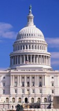 Capitol 2 Capitol 2 116x218 custom Public Policy